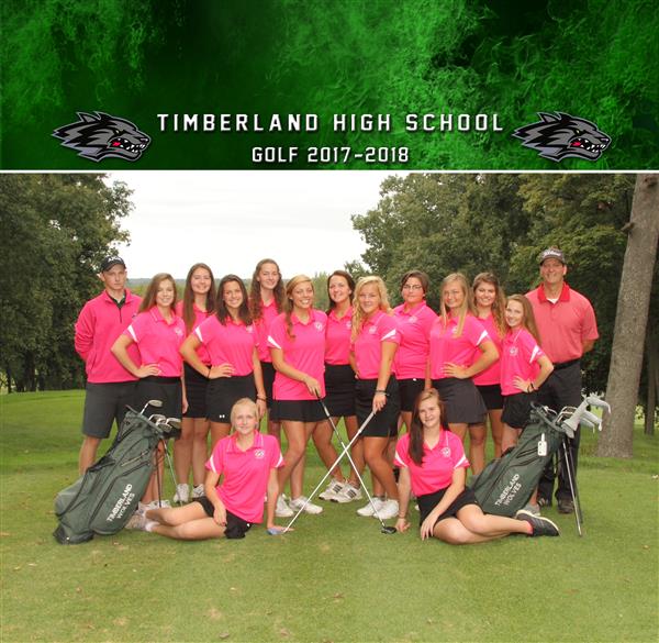 Girls Golf 2017 